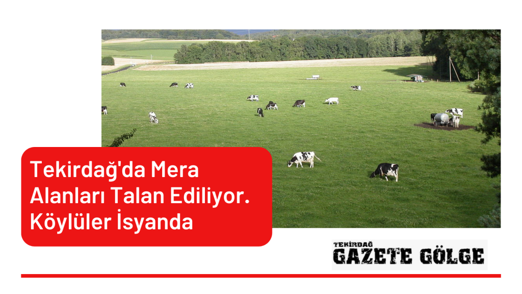 Tekirdağ’da Mera Alanları Talan Ediliyor