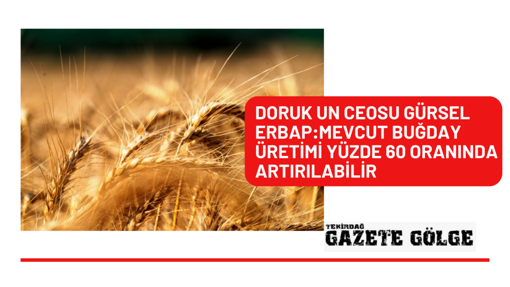 DORUK UN CEOSU GÜRSEL ERBAP:MEVCUT BUĞDAY ÜRETİMİ YÜZDE 60 ORANINDA ARTIRILABİLİR