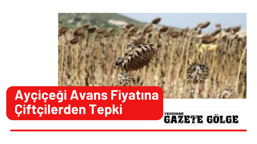Açiçek Avans Fiyatına Çiftçilerden Tepki