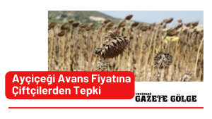 Açiçek Avans Fiyatına Çiftçilerden Tepki
