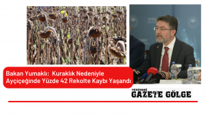 Bakan Yumaklı:  Kuraklık Nedeniyle Ayçiçeğinde Yüzde 42 Rekolte Kaybı Yaşandı