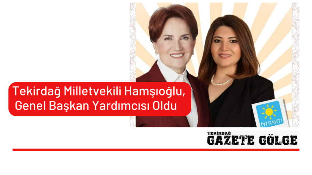 Tekirdağ Milletvekili Hamşıoğlu, Genel Başkan Yardımcısı Oldu