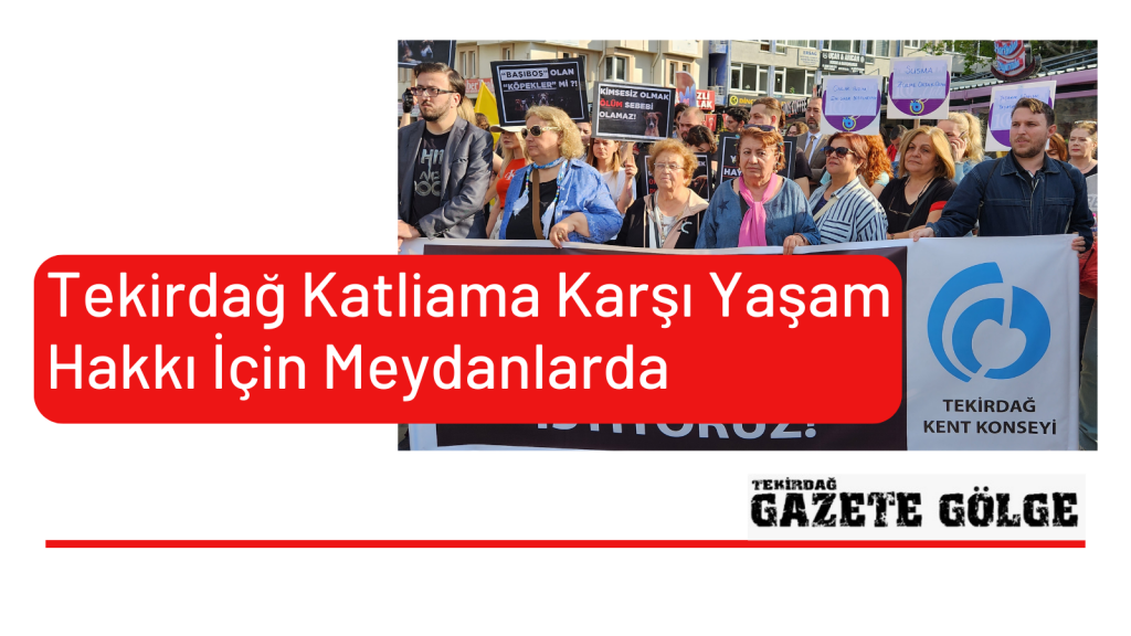 Tekirdağ Katliama Karşı Yaşam Hakkı İçin Meydanlarda