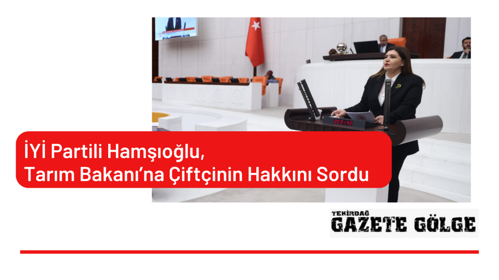 İYİ Partili Hamşıoğlu, Tarım Bakanı’na Çiftçinin Hakkını Sordu