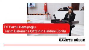 İYİ Partili Hamşıoğlu, Tarım Bakanı’na Çiftçinin Hakkını Sordu