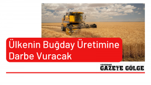 <strong>Ülkenin Buğday Üretimine Darbe Vuracak</strong>