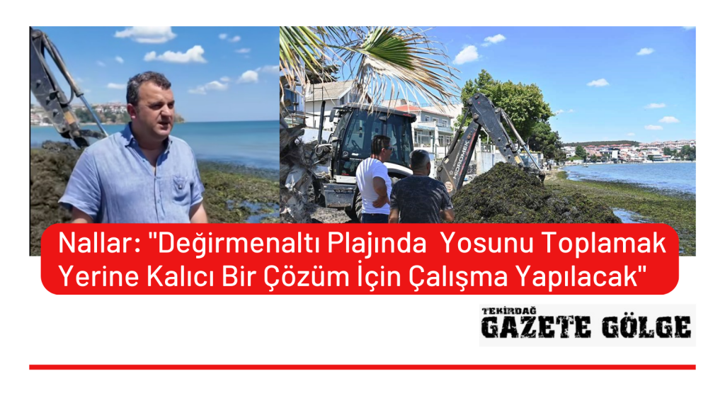 <strong>Nallar: “Değirmenaltı Plajında  Yosunu Toplamak Yerine Kalıcı Bir Çözüm İçin Çalışma Yapılacak”</strong>