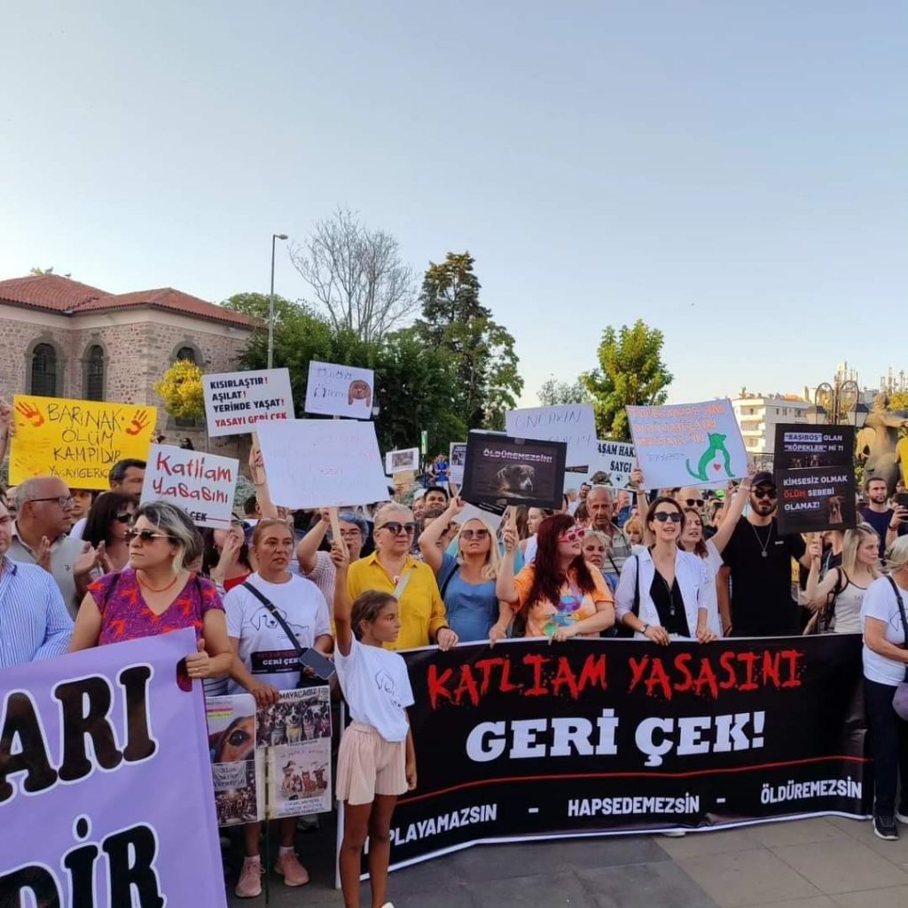 “siyasi iktidarın takdirine bırakacak hiçbir canımız yoktur”