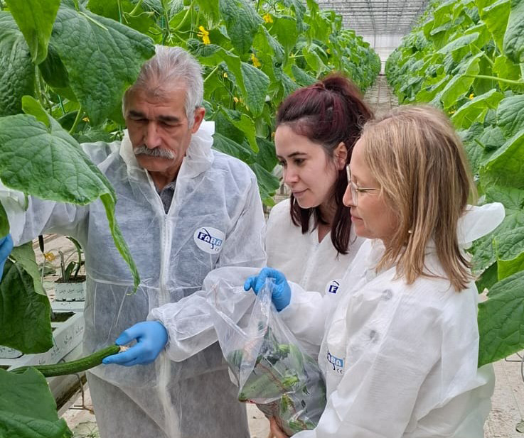Ergene’de Seralardaki Ürünlerden Kalıntı Analizi İçin Numune Alındı