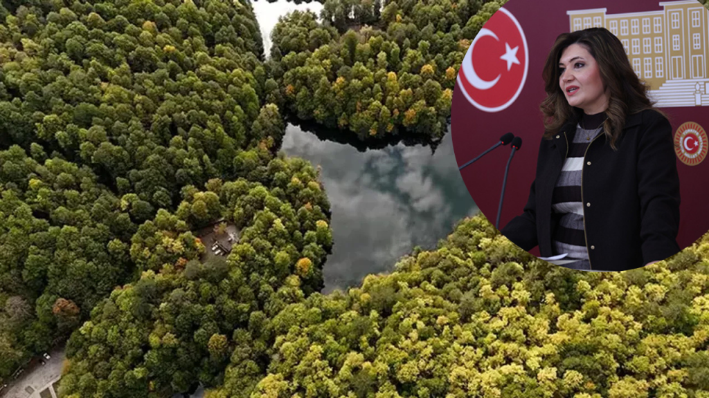 Selcan Taşçı’dan TBMM’de Milli Parklar Tepkisi: “Bu Kanuna Karşı Çıkmak Vatan Savunmasıdır”