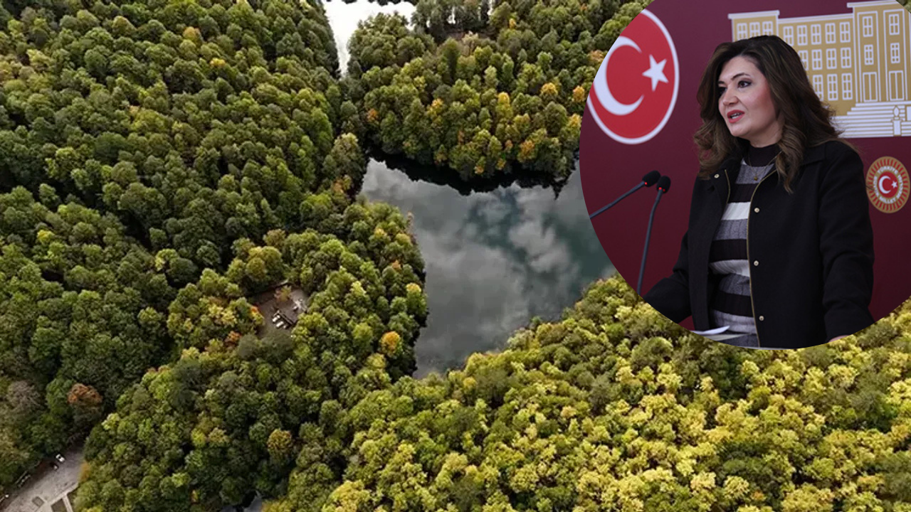 Selcan Taşçı’dan TBMM’de Milli Parklar Tepkisi: “Bu Kanuna Karşı Çıkmak Vatan Savunmasıdır”